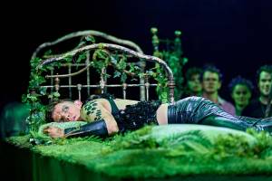 Puck lies on a bed of grass and shrubs